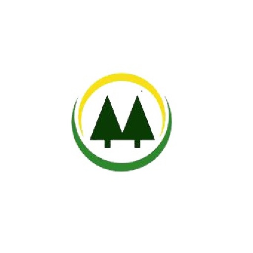Company 06